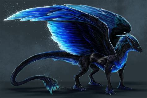 Dark msfoc dragon prince